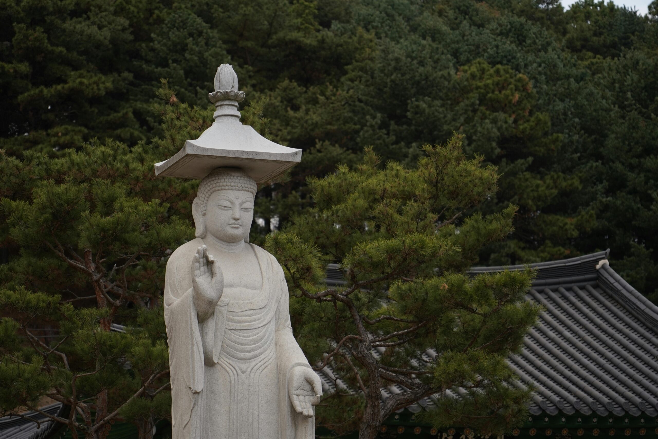 Serene Buddha statue at a Geumsan shrine, surrounded by lush greenery.